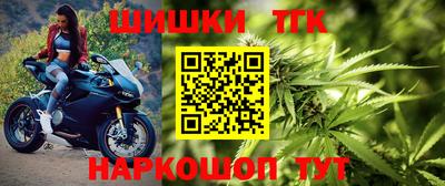 стаф Камышлов