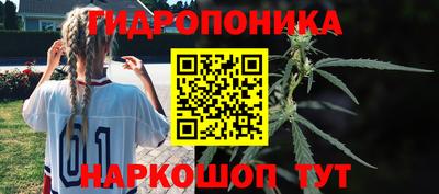 стаф Камышлов
